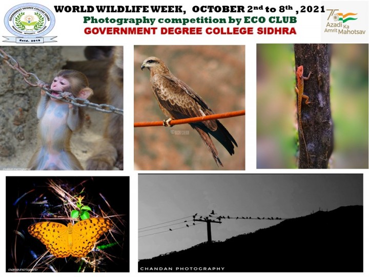 Flyer Wildlife week 2021