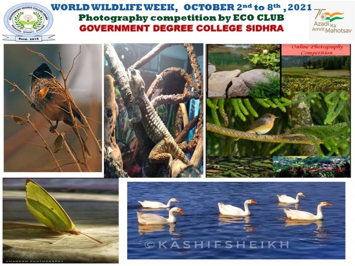 Flyer Wildlife week 2021